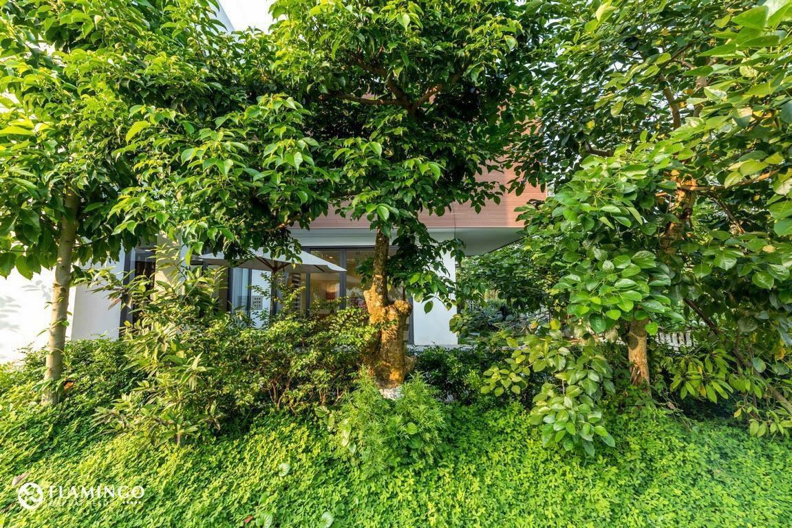 Flamingo Dailai - Hq Villa Ngoc Quang Eksteriør bilde