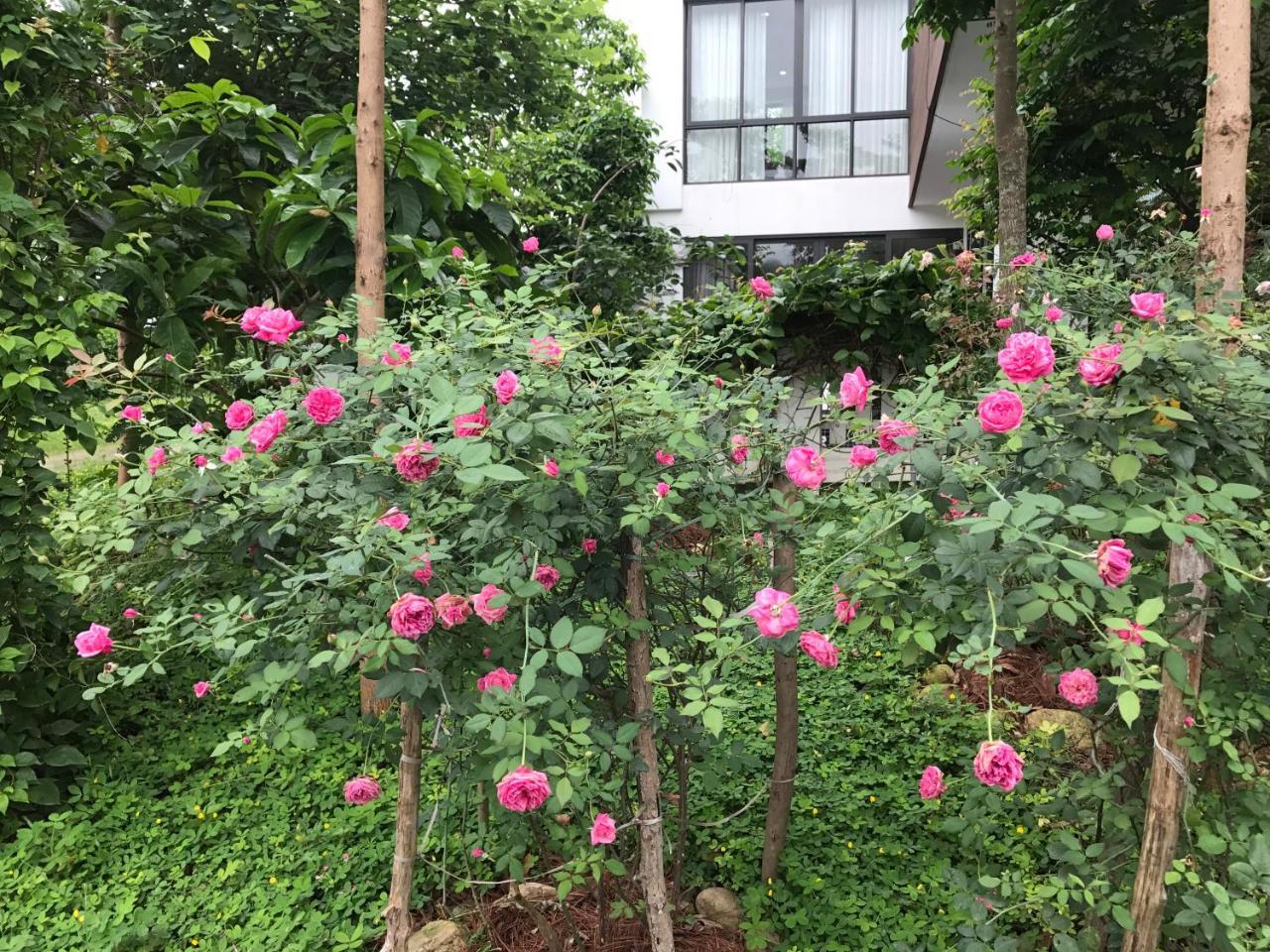 Flamingo Dailai - Hq Villa Ngoc Quang Eksteriør bilde